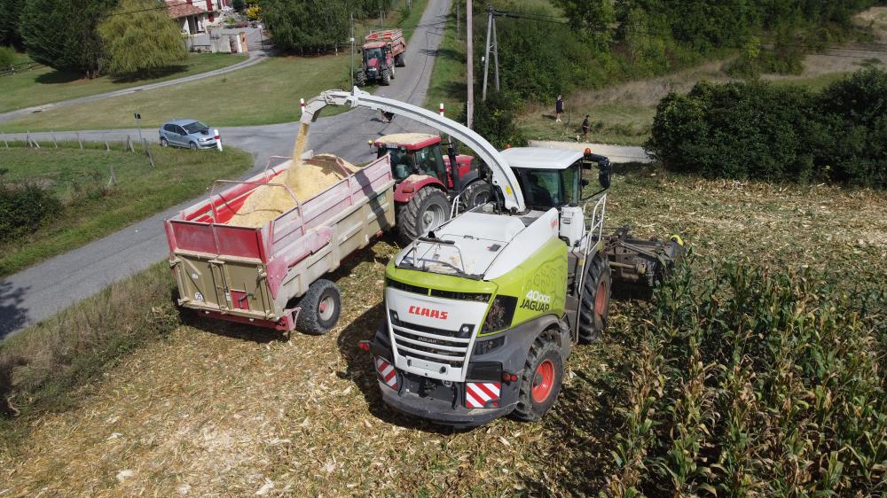 ENSILAGE MAÏS GRAIN